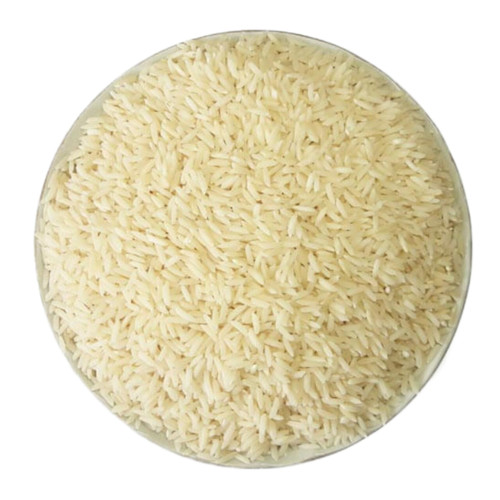 برنج ایرانی- شیرودی دو بوجار